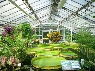 Botanical Garden